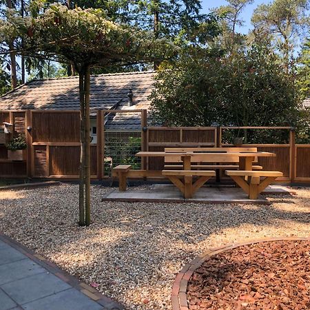 Veluwe Vakantiehuis - Bosuil Lodge Lunteren Extérieur photo